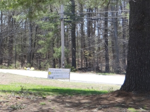 DSC01899-cropped_blog